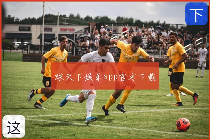 球天下娱乐app官方下载